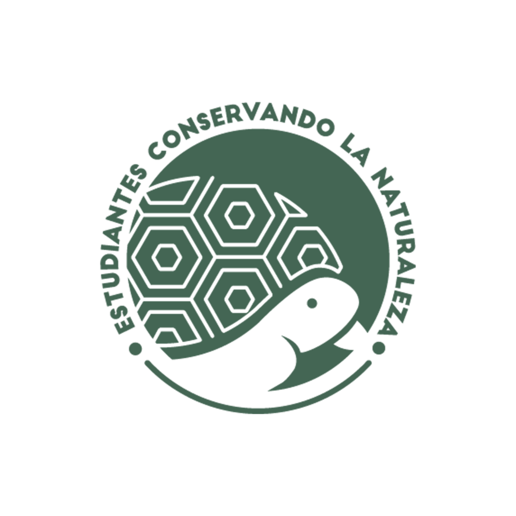 Tortuguita